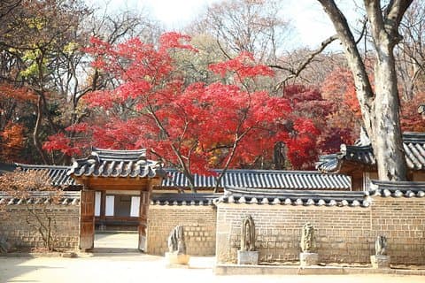 Korea UNESCO-Stätten 9 Tage 8 Nächte