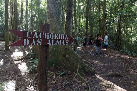 2 Dagen in Rio: Tijuca Forest & Two Brothers Hiking Tours