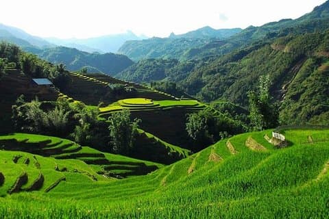 Sapa 3 dager 2 netter trekkingstur fra Hanoi (2 netter på hotellet)
