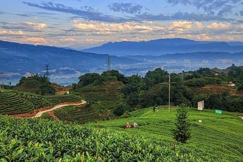 Fleksibel Hangzhou Private Day Tour fra Suzhou av Bullet Train