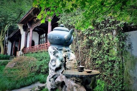 半日杭州茶文化とHupao Springプライベートツアー