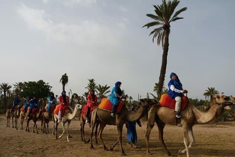 Camel Ride & Quad Bike tours in the palm grove of Marrakech