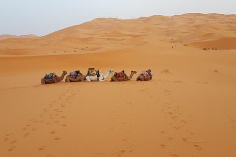4 dages ørken tur fra Marrakech