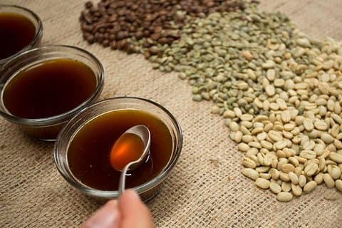 A taste of Aquiares - 2 hours Coffee Tour