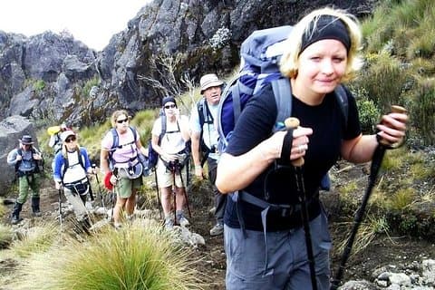 Lemosho Route 8 Days 7 Nights/Kilimanjaro Climb