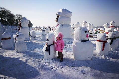 4-Day Private Harbin Tour Combo Package of Winter Highlights with Meal Options