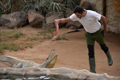 アグイメスのココドリロ公園動物園入場券