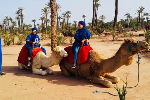 Activiteiten in Marrakech: Kameelrit tour