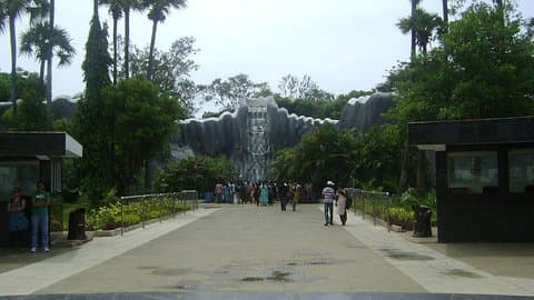 Private Tagestour von Arignar Anna Zoological Park von Chennai