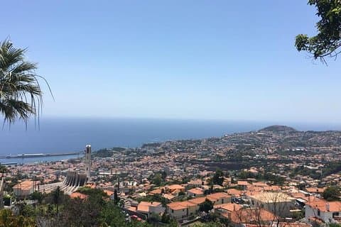Funchal Private Transfers Service to Madeira Airport