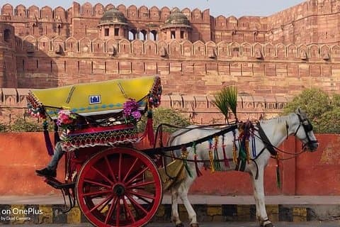 Delhi Agra samma dag privat rundtur med guide