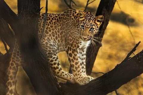 Private Full Day Outdoor Activities in Jaipur with Tickets