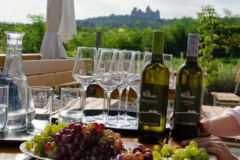 Tour del vino di mezza giornata vicino a Vienna con pasto e trasferimento