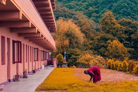 Shivapuri Peak Hike och Sleeping Buddha Sightseeing Tour