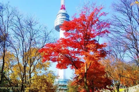 N Seoul Tower & Han river {Private Tour}