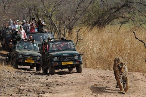Fem dagars gyllene triangeltur med Ranthambore Delhi Agra Jaipur