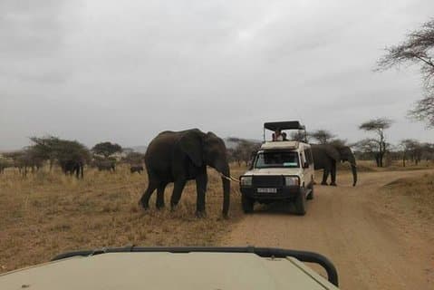 12 jours d'incroyable expérience culturelle et de la vie sauvage en Tanzanie