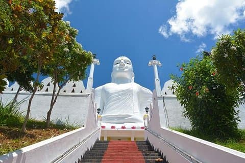 Excursion privée d'une journée à Kandy au départ de Colombo
