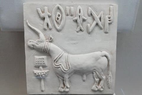Dia de viagem de Ahmedabad a Lothal, 4500 ano de idade Indus Valley Civilization