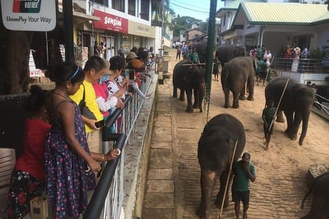Sri Lanka round tour