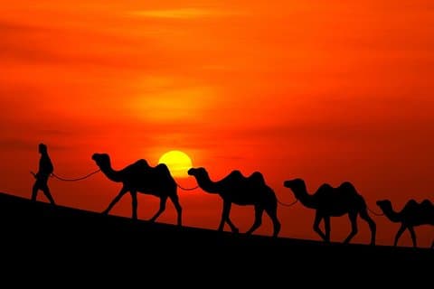 Tour privato di 3 giorni a Marrakech e Merzouga