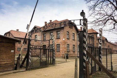 Fra Krakow: Auschwitz-Birkenau guidet tur (henting av hotell)