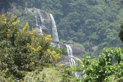 6 Days Safari to Udzungwa Mountain NP, Ruaha NP and Mikumi NP