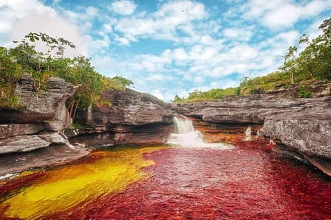 Cano Cristales & Jungle: 4 day trip from Bogota