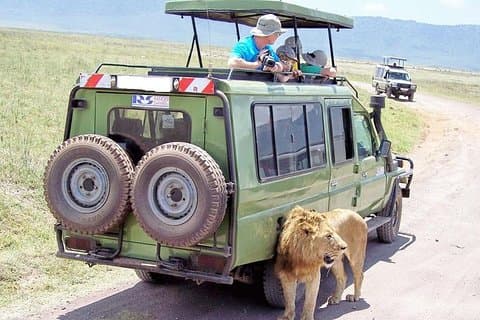 11 Days Best of Kenya & Tanzania Big 5 Safari på 4x4 Jeep