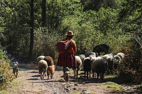 Service privé de Lares Trek