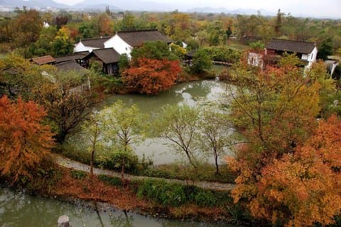 Tour privato di mezza giornata Hangzhou Xixi Wetland Park con giro in barca