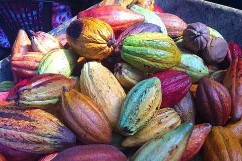 Chocolate and Cobblestones Tour with Taste of San Miguel