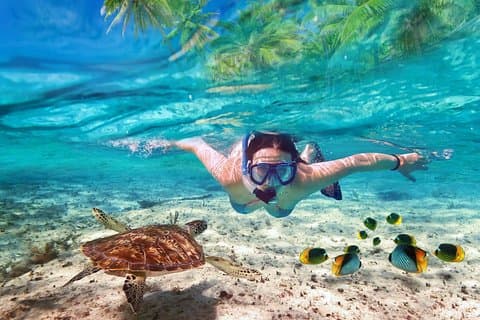 Koh Madsum (Pig island) and Koh Tan Day Tour from Koh Samui