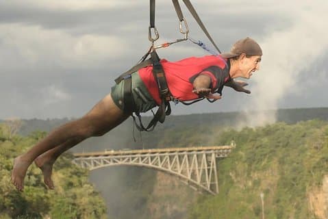Renard volant