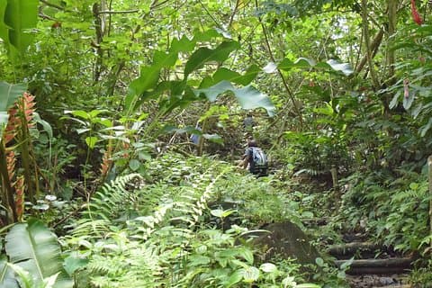 Natureworld St Lucia vandringsled