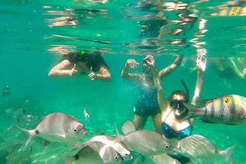 Trindade Fishing Village, Beach Trek and Snorkeling Tour
