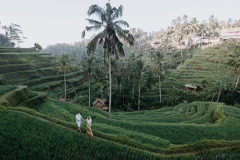 Private Fotosession mit einem lokalen Fotografen in Ubud