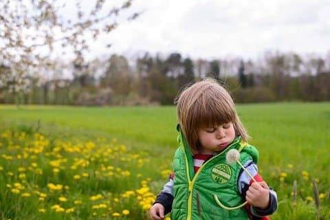 Vakantiefotograaf in Neurenberg