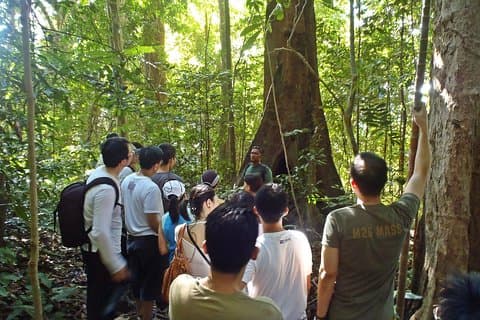 Enchanting Half-Day Rainforest Jungle Trek, Langkawi