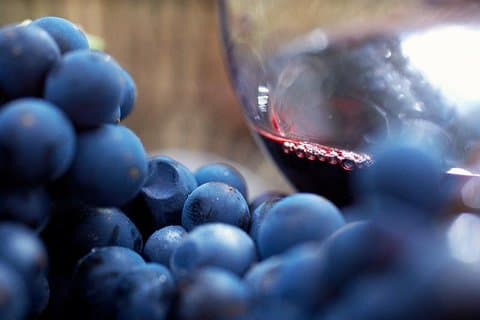 Small Group: Ultimate Mornington Peninsula Food and Wine Day