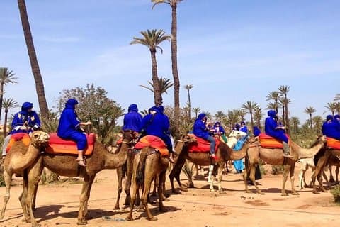 Sunset Camel Ride with tea break in the Palm Grove of Marrakech