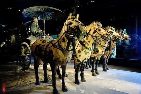 Privétour: essentiële Xian-dagtour inclusief Terra Cotta Warriors and Horses