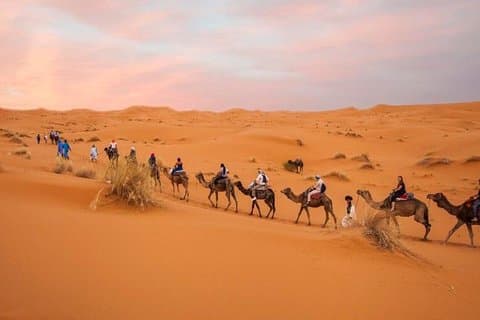 Morocco Imperial Cities Tour from Casablanca 11 Days 10 Nights