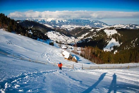Into the White: A Snowshoe Exploration