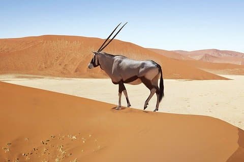 4 day Sossusvlei and Swakopmund Lodging