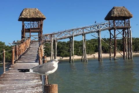Eco Classic Tour Holbox