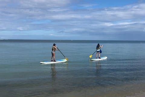 All-Day Paddleboard Rental – Fajardo, Puerto Rico