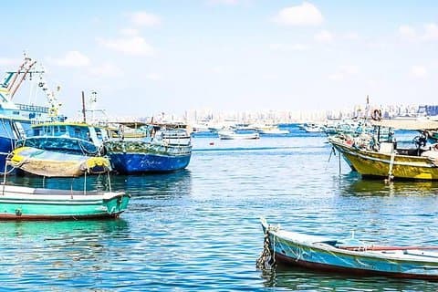 Alexandria Walking Tour-Walk Like Egyptian