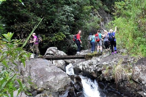 Fra Kandy: Heeloya Village Trekking med frokost og transfer