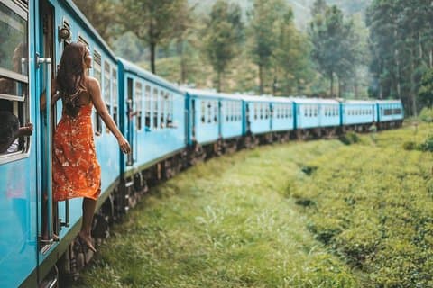 Ella or Bandarawela: Adisham & Demodara Loop Rail Tour